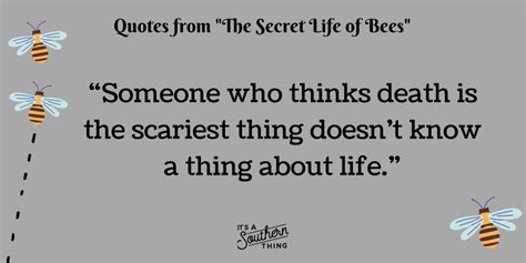 15 'The Secret Life of Bees' quotes we love - It's a Southern Thing