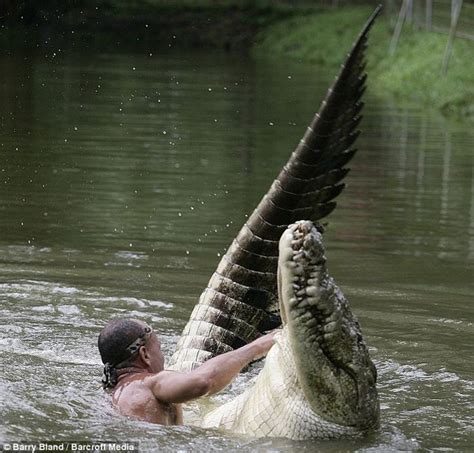 Crocodile Man (4 pics)