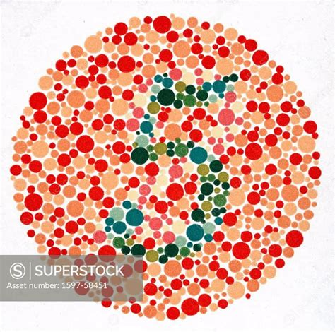 Color blindness, Armed Forces Color Vision Test, pseudo_isochromatic ...