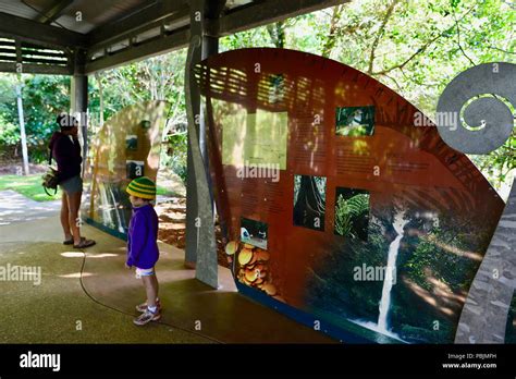 Entrance to the Mamu Tropical Skywalk, Wooroonooran National Park ...