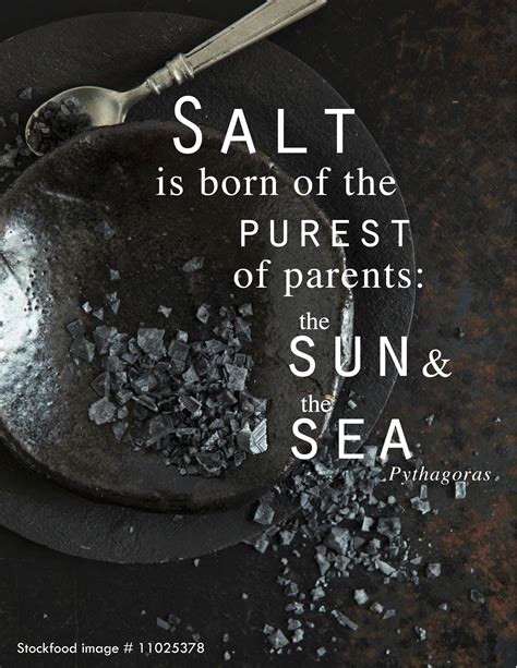 "Salt is born of the purest of parents: the Sun and the Sea ...