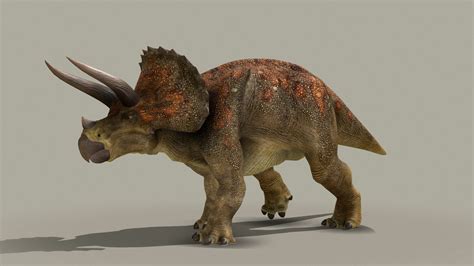 Triceratops Horridus - Buy Royalty Free 3D model by Kyan0s [4cdcba9] - Sketchfab Store