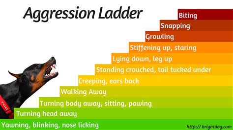 Dog Aggression Ladder - Dog Training Word