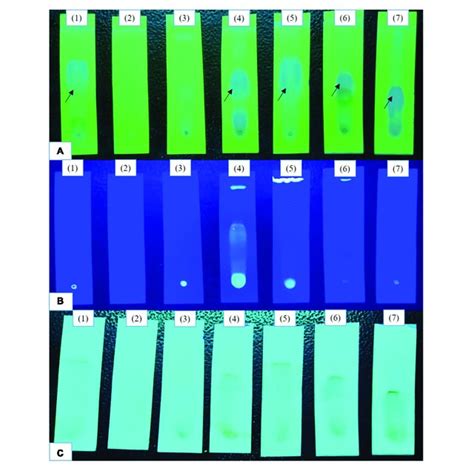 | Comparative analysis of the TLC profiles produced by the strain with... | Download Scientific ...