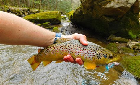 Top Places to Fish in Pennsylvania | #PAGetaway