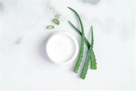 6 Ways to DIY Aloe Vera Moisturizer at Your Own Comfort