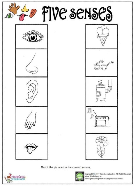 Five Senses Worksheet For Grade 3 | Try this sheet