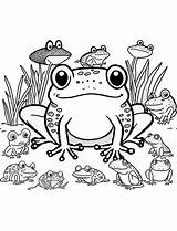 35 Frog Coloring Pages Cute Free Sheets sketch template