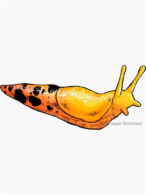 "Banana Slug" Sticker for Sale by astropaws | Redbubble