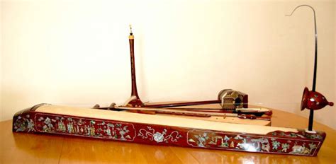 Dan Bau, a unique musical instrument of Viet Nam