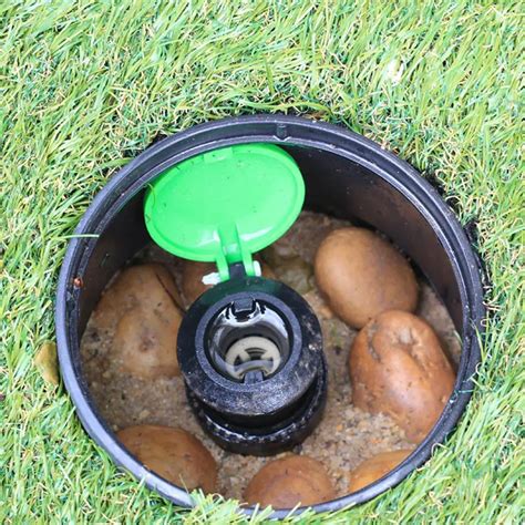 6 Inch Underground Valve Box And Pop Up Sprinkler Watering System - Best Seeds Online | Free ...