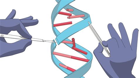 What's stopping us from using CRISPR to gene edit humans to fight ...