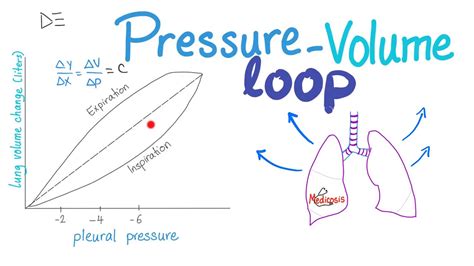 Compliance Of Lung - Mechanical Ventilation Series Lung Compliance ...