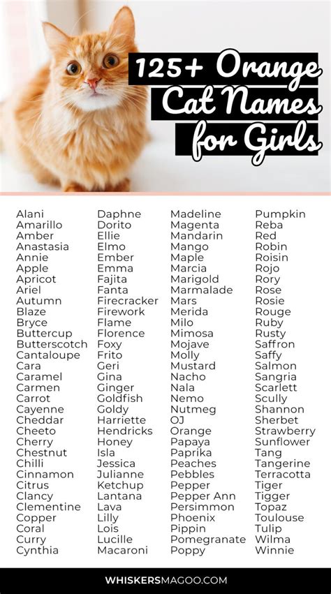 125+ Cute Orange Cat Names for Girl Cats - Whiskers Magoo | Girl cat names, Ginger cat names ...