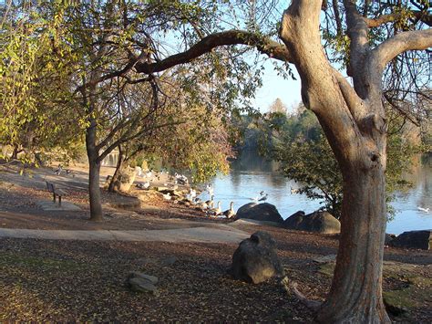 10 Great Things to Do in Woodward Park -- Fresno's Largest