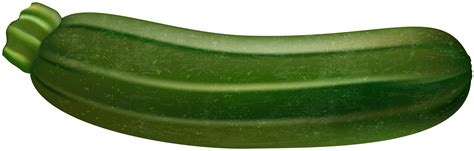 Zucchini clipart, Zucchini Transparent FREE for download on ...