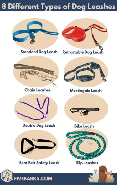 8 Types of Dog Leashes & How to Choose the Best One