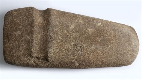 #59: A LARGE NATIVE AMERICAN STONE AXE HEAD