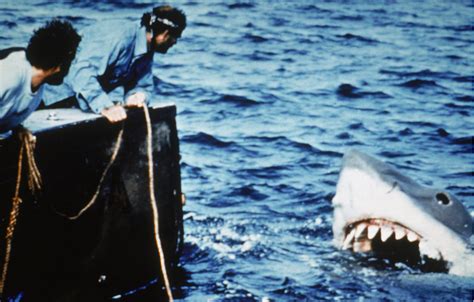 The Great White Shark in "Jaws" (1975) | The Horror, The Horror: 20 ...