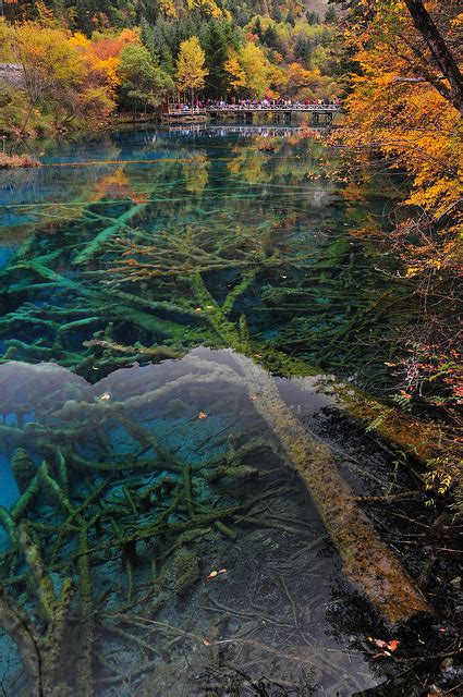 Five-Flower Lake in Jiuzhaigou Valley, Sichuan,... - It's a beautiful world