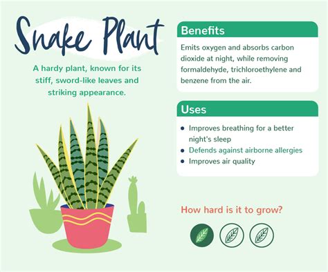 Discover The Benefits Of Indoor Plants | Love The Garden