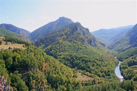 The 15 Most Beautiful Forests in Europe - TheBiteTour.com