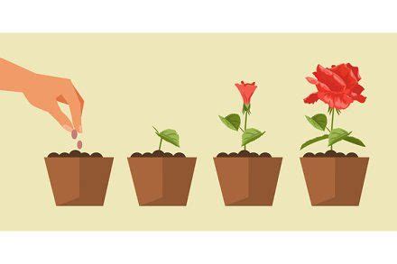 The process of planting and growth of plants. Gardening. Vector illustration First Year Of ...