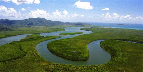 Daintree River - Australia ! Travel Guide Awesome View - Virtual University of Pakistan