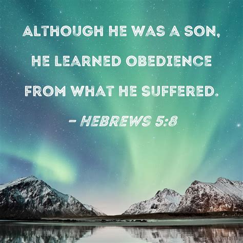 Hebrews 5:8 Although He was a Son, He learned obedience from what He ...