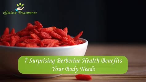 7 Surprising Berberine Health Benefits Your Body Needs