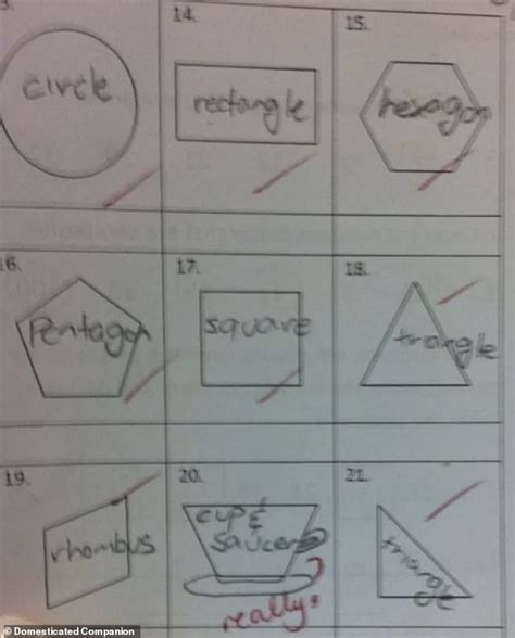 Hilarious pictures reveal the incorrect test answers by children - Big ...