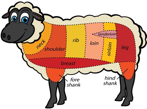 Meat Cuts - Nose To Tail | Meat cuts, Lamb cuts, Sheep and lamb