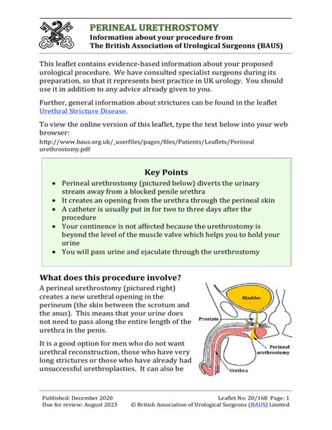 Perineal urethrostomy