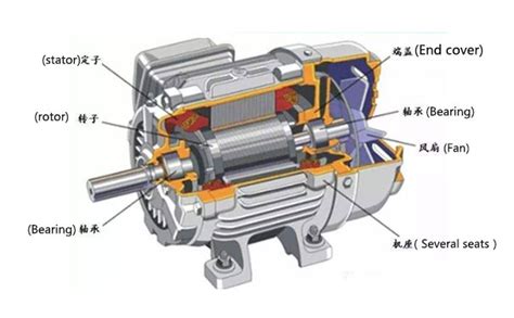 The Basic Elements of Slip Ring Induction Motors