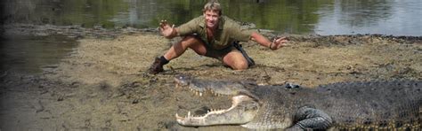 Crocodile Tracking - Learn About The Studies On The Steve Irwin Reserve