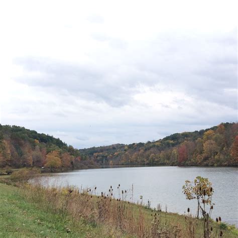 #StroudsRun in Athens, Ohio - Fall 2014 | Natural landmarks, Athens, Outdoor