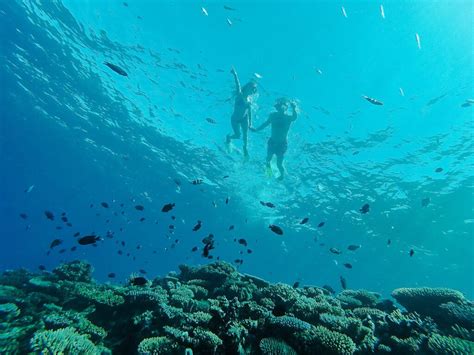 Snorkelling in Fiji | Mamanuca Islands | Tropica Island Resort