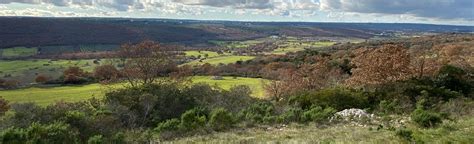 Selva di Fasano via Santa Lucia, Apulia, Italy - 23 Reviews, Map | AllTrails