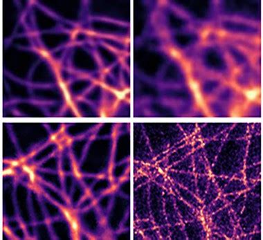 Microscopy | Centre For Biophotonics