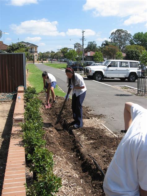 Prefects Planting Trees at Sefton High