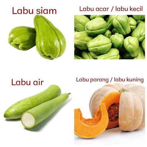 Jual Labu siam / Labu acar / Labu kecil / Labu air / Labu parang / Labu kuning | Shopee Indonesia