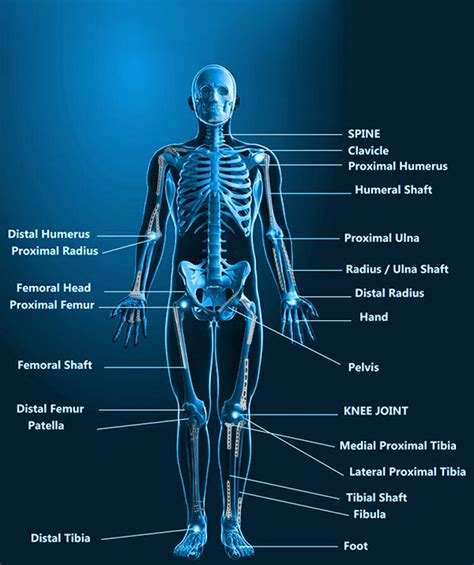 Orthopedic Trauma (Fracture) Treatment | Ahmedabad | Dr. Rachit Sheth