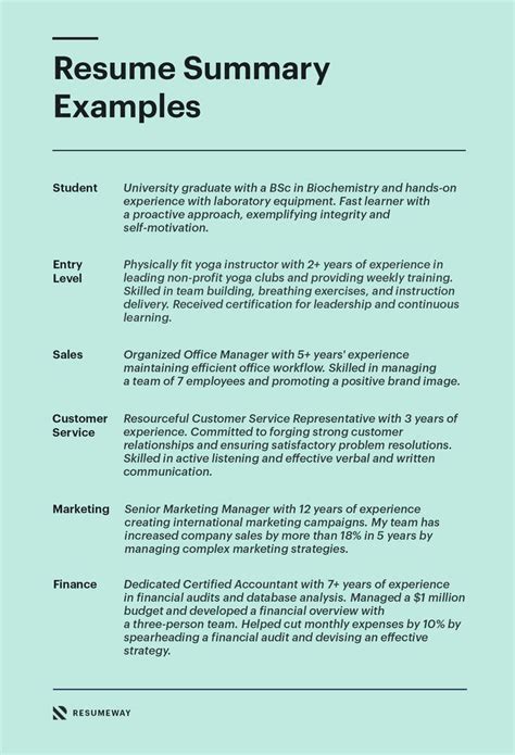 20+ Resume Summary Examples for 2024 [+How-to Guide] | Resume summary ...