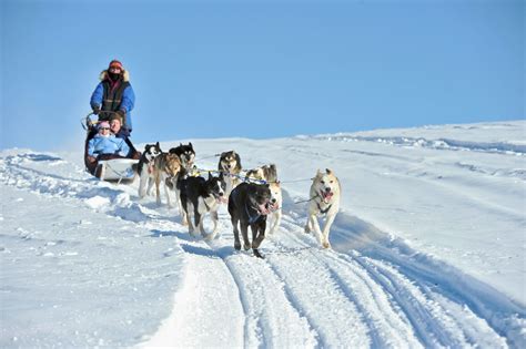 Puppy Love: Alaska's Sled Dogs | Travel Alaska