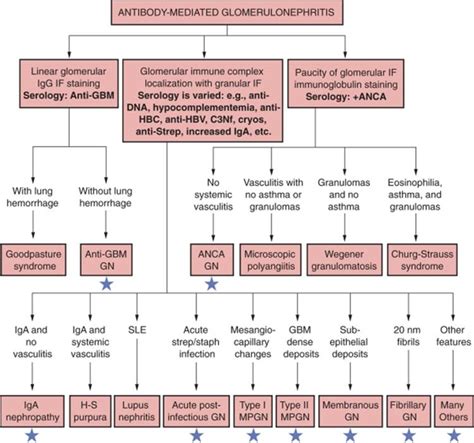 Primary Glomerular Disease - Brenner and Rector's The Kidney, 8th ed