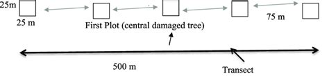 Schematic representation of a transect for ecological characterization ...