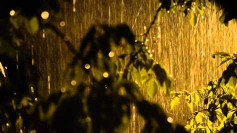 20 Aug2014.Rain in night - Heavy rain sound & video in beautiful nature ...