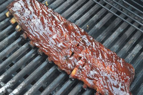 Holland Grill Recipes Pork Ribs | Dandk Organizer