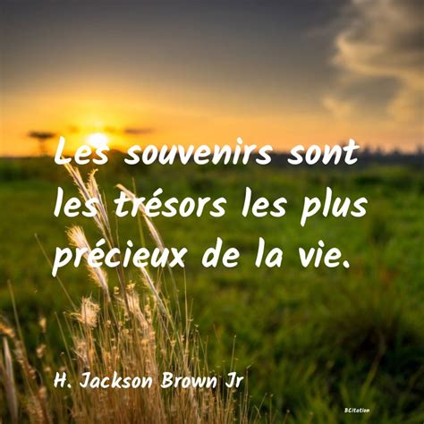 Les souvenirs sont les trésors les plus précieux...