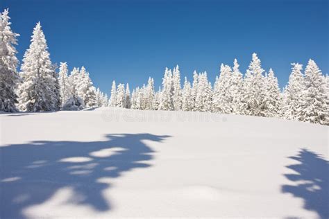 Snowy winter wonderland stock image. Image of frost - 111187755